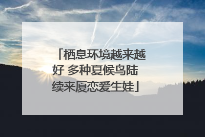 栖息环境越来越好 多种夏候鸟陆续来厦恋爱生娃